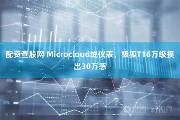 配资查股网 Microcloud绒仪表，极狐T16万级摸出30万感